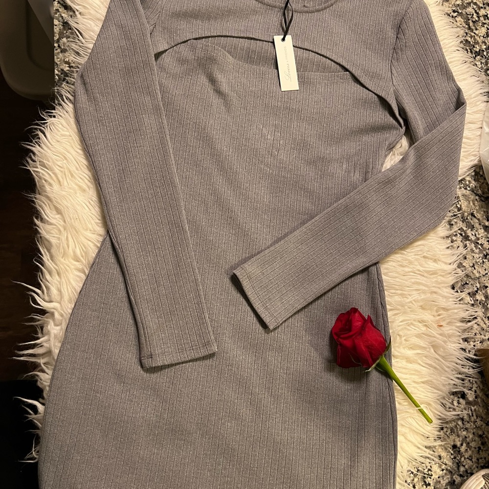 Lovers + Friends Long Sleeve Mini Dress